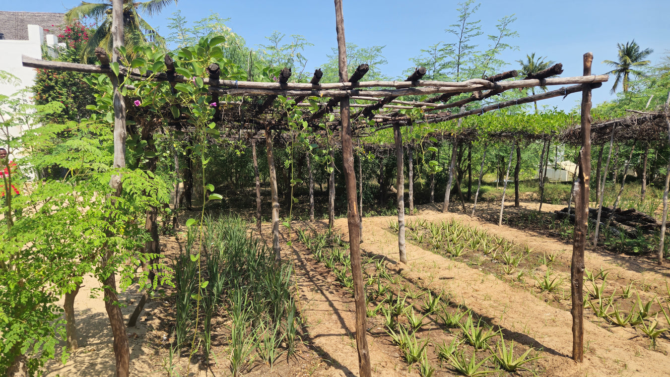 farm.jpg__PID:3c4da38a-ce3d-4351-ae29-d11aadb672f8